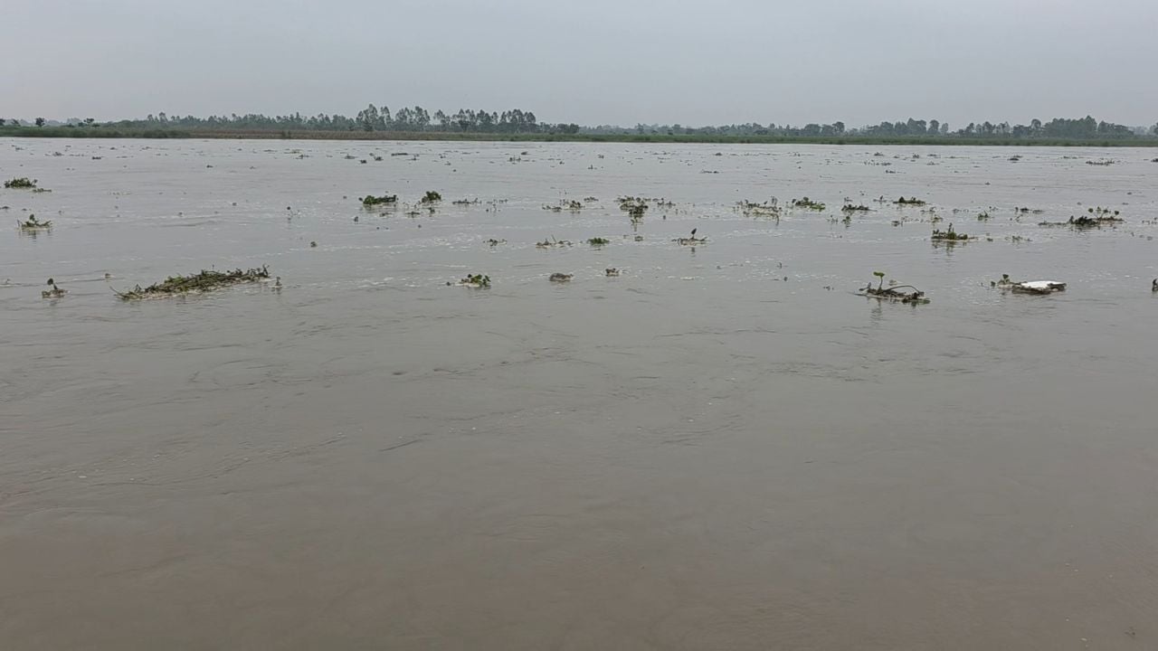 তিস্তাপারের মানুষের আহাজারি- কাম দেন বাহে রিলিফ চাই না