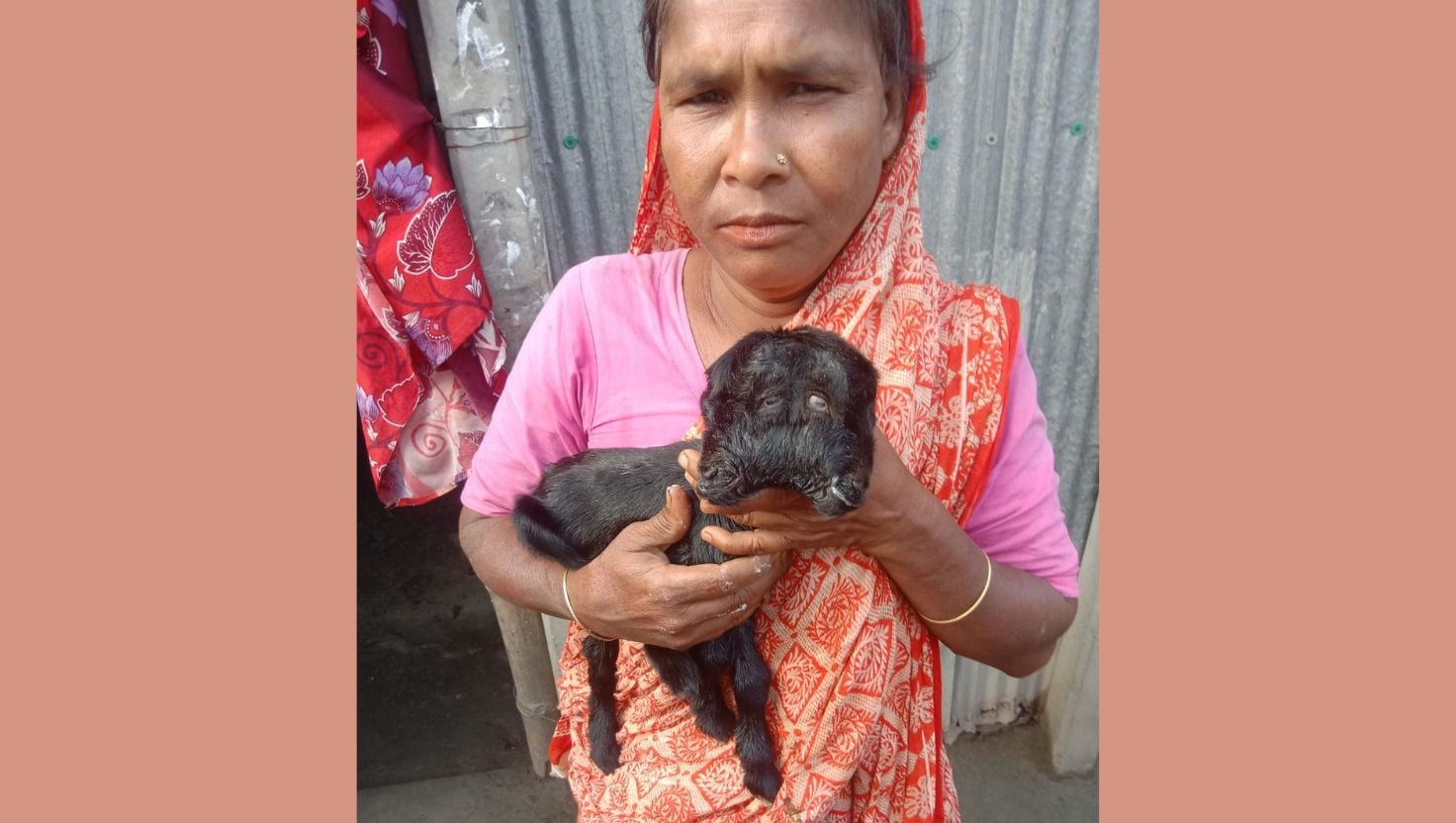 তারাগঞ্জে এক ছাগলের ২ মাথা, এলাকায় চাঞ্চল্য