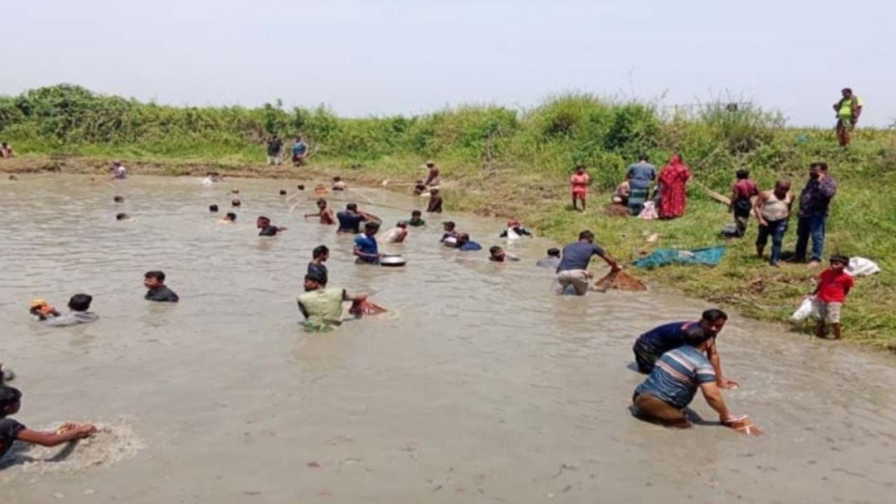 মানিকগঞ্জে ঈদের আনন্দে মাছ ধরা উৎসব
