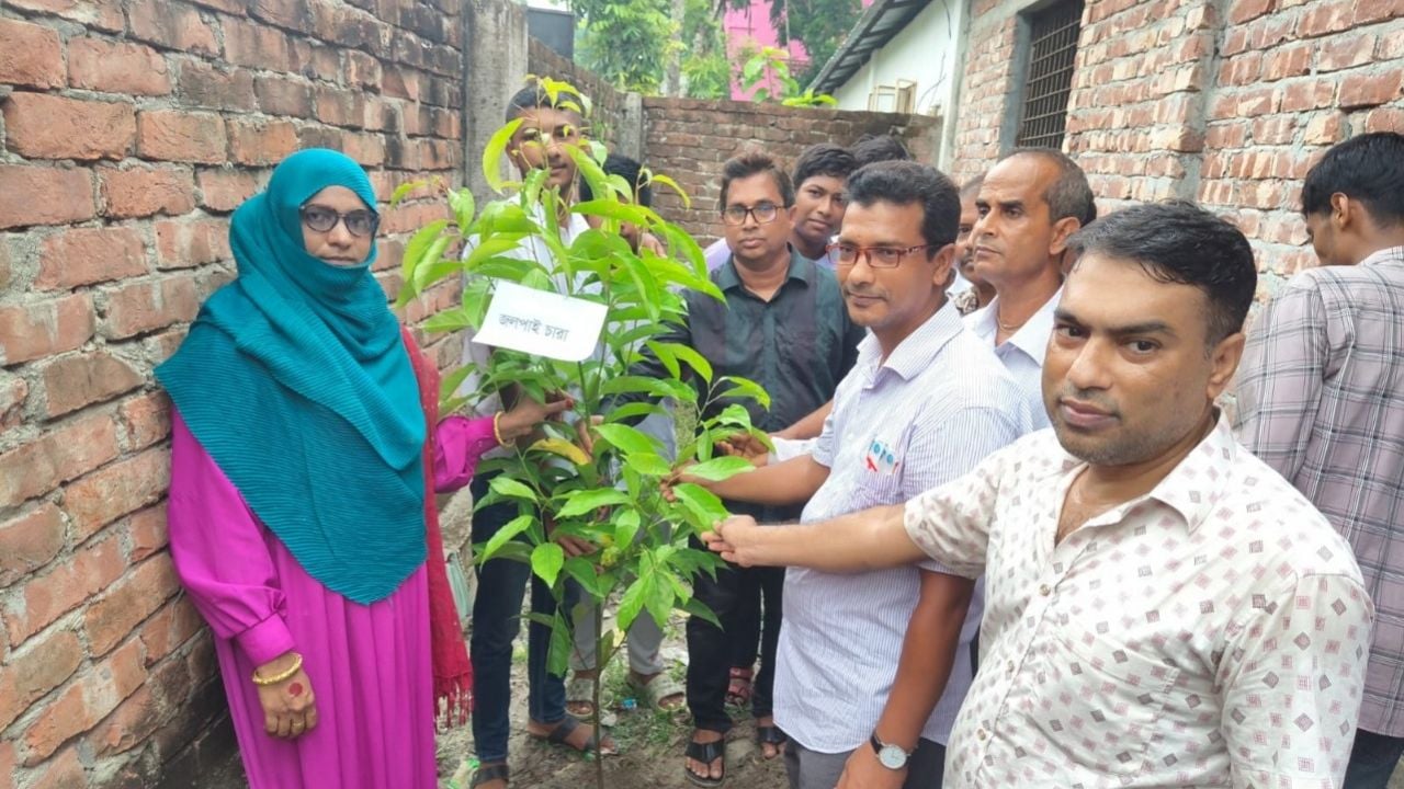 জিয়ানগরে ‘ওয়ান চাইল্ড, ওয়ান ট্রি’ কর্মসূচিতে বৃক্ষরোপণ