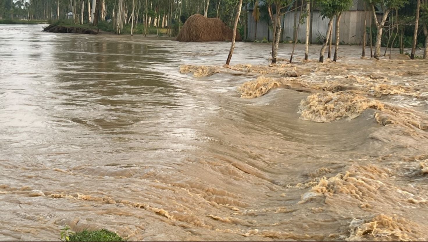 ভারি বর্ষণে নালিতাবাড়ীতে পাহাড়ি ঢল, বাঁধ ভেঙে লোকালয়ে পানি