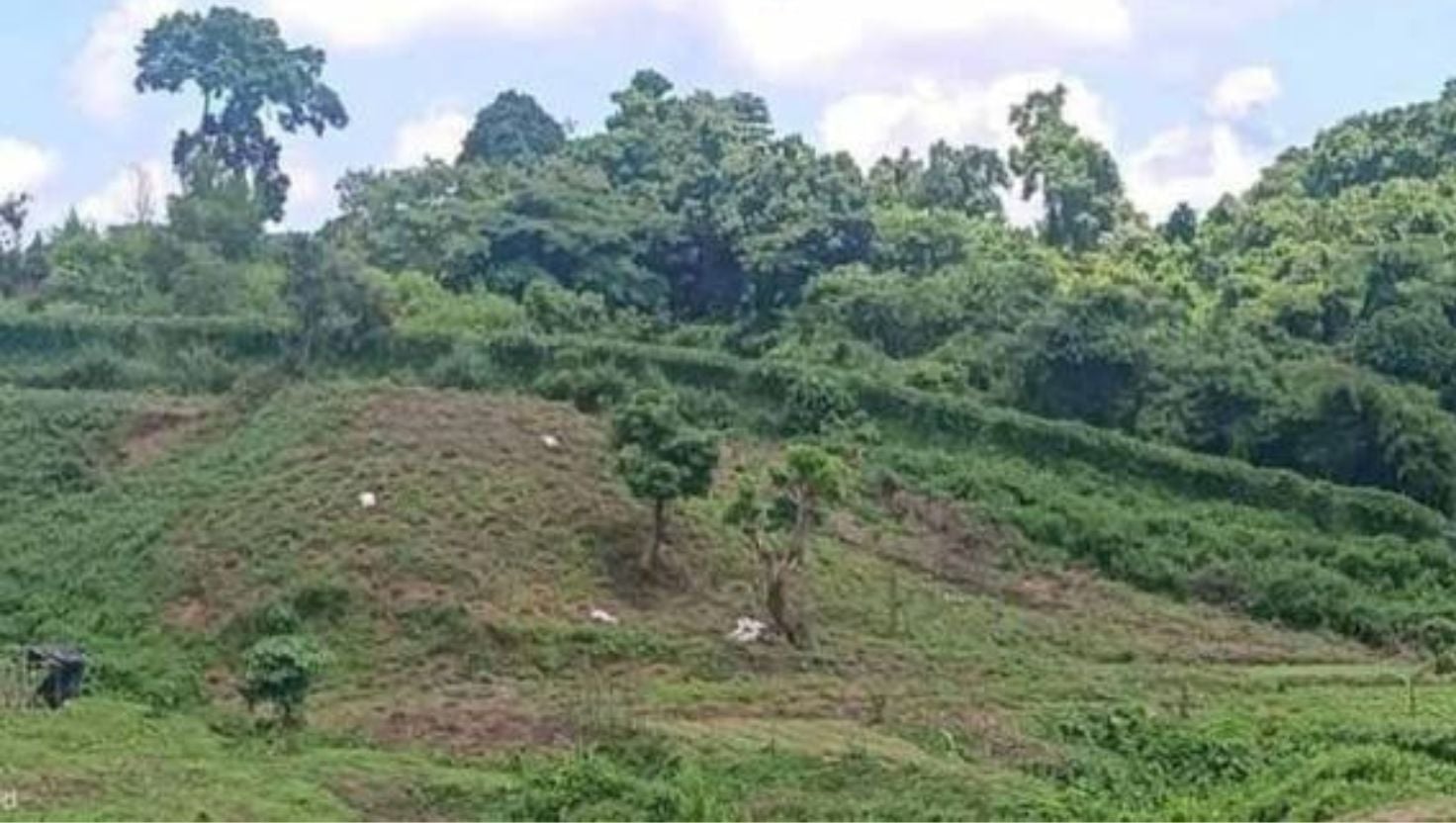 ঘুমধুম সীমান্তে স্থলমাইন বিস্ফোরণে রোহিঙ্গা যুবক নিহত