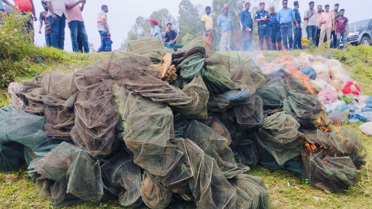 সিংড়ায় ২০ লাখ টাকার অবৈধ জাল ধ্বংস