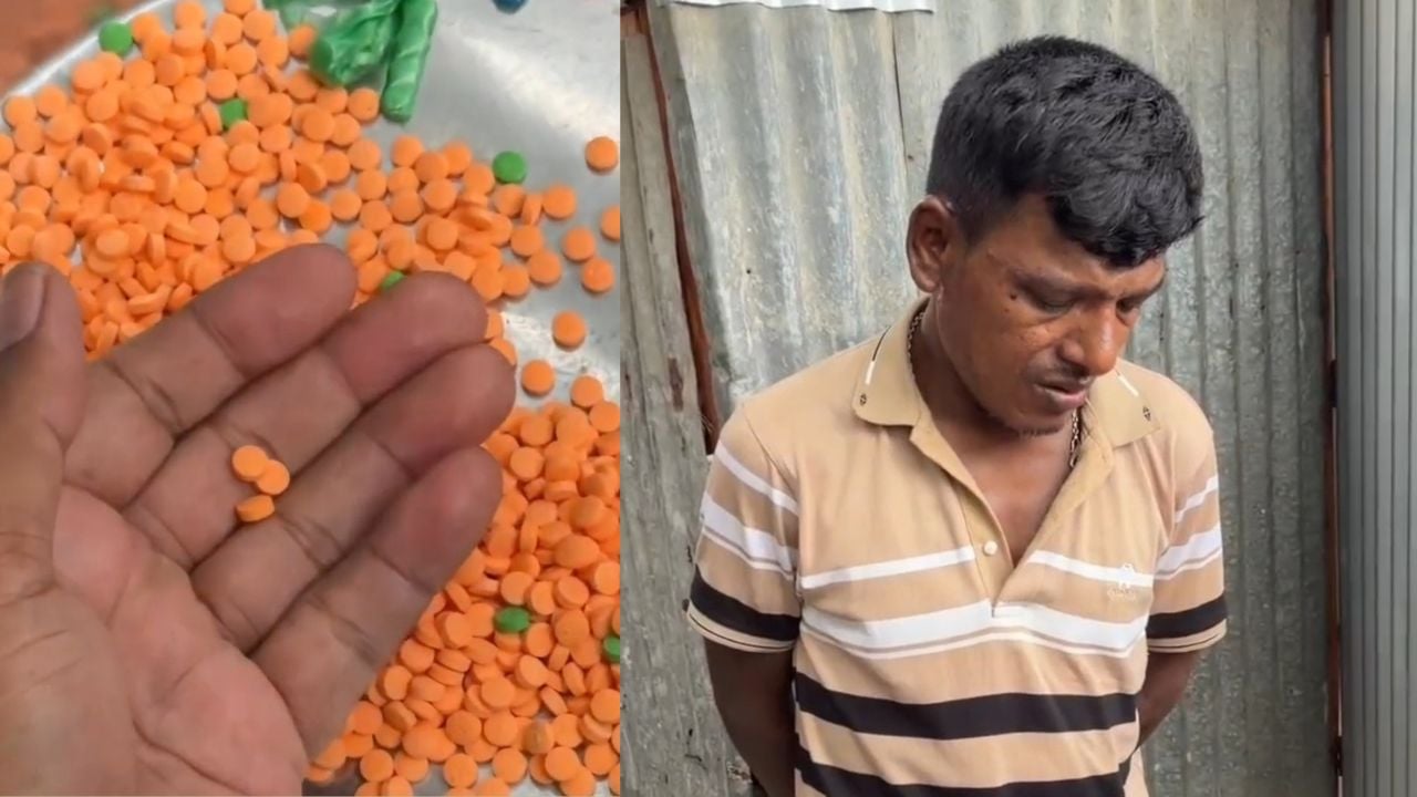 শিবচরে মাটির গর্তে লুকানো ছিল ১১৬৫ পিস ইয়াবা