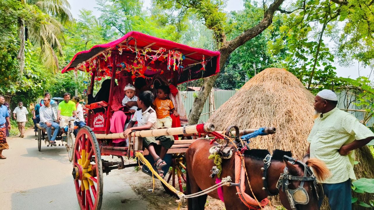 সিংড়ায় নাতি হওয়ার আনন্দে ঘোড়াগাড়িতে ঘুরিয়ে মিষ্টি বিতরণ