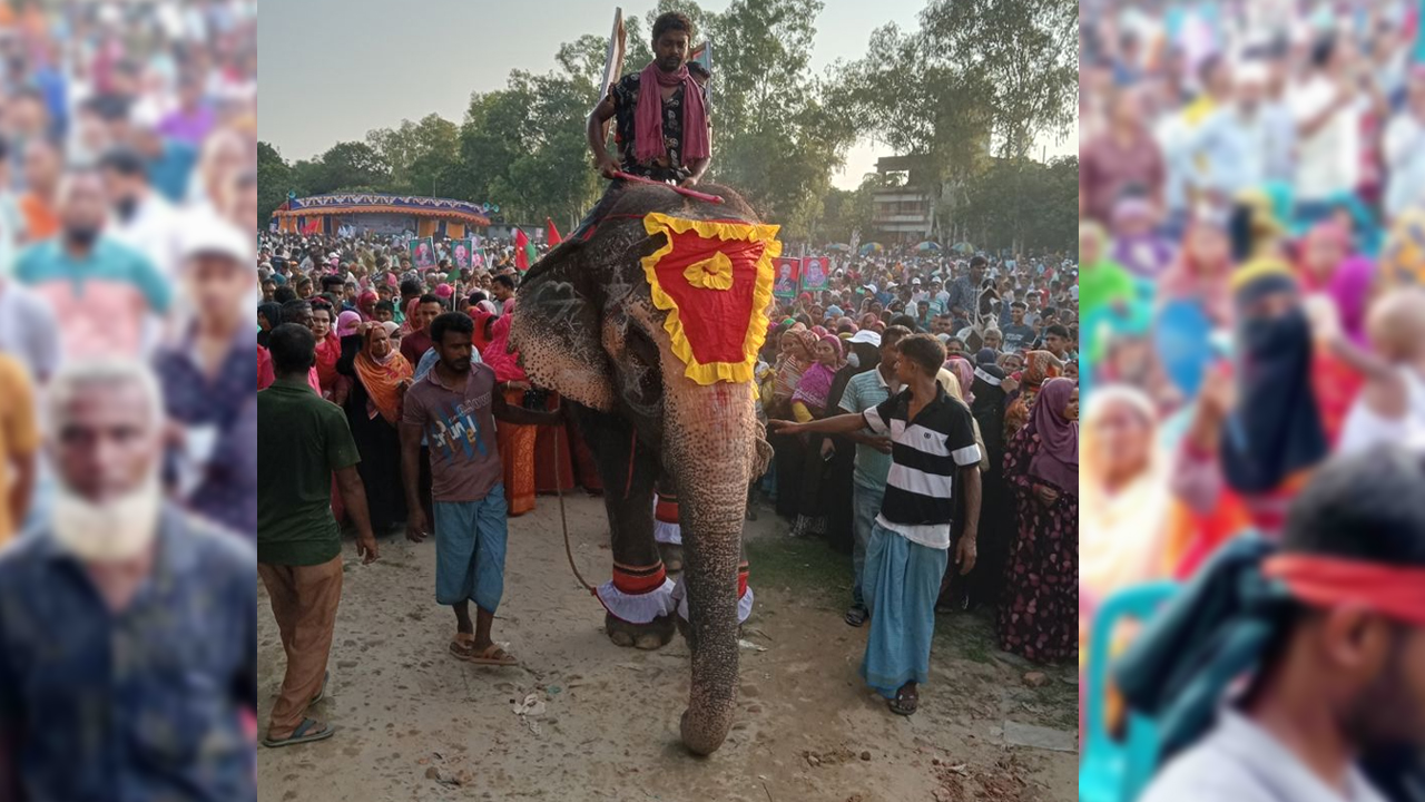 বিএনপির প্রতিষ্ঠাবার্ষিকীর শোভাযাত্রায় হাতি-ঘোড়া
