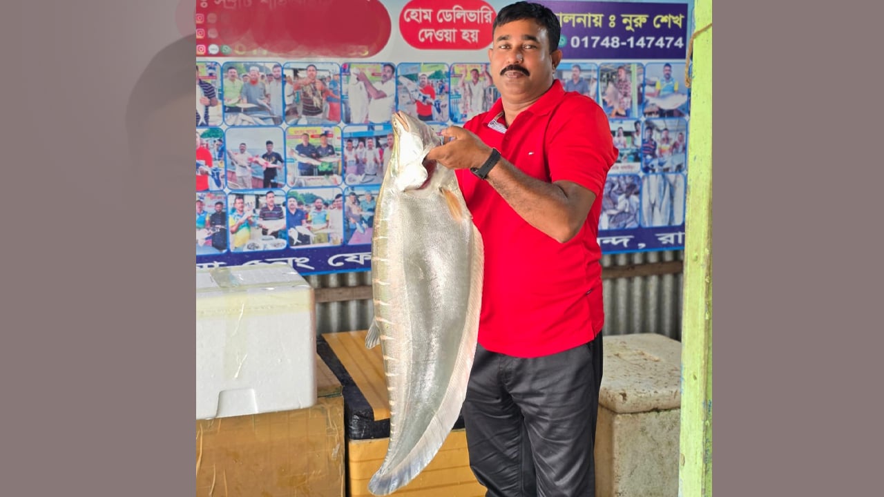 এক চিতলের দাম ১৫৩০০ টাকা