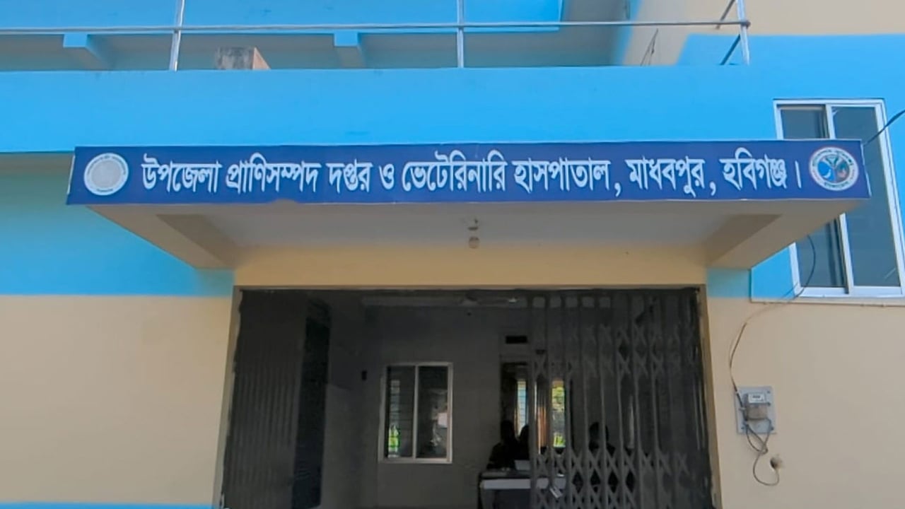 ছাগল বিতরণের নামে ‘গরিবের সঙ্গে প্রতারণা’ মিঠুন সরকারের