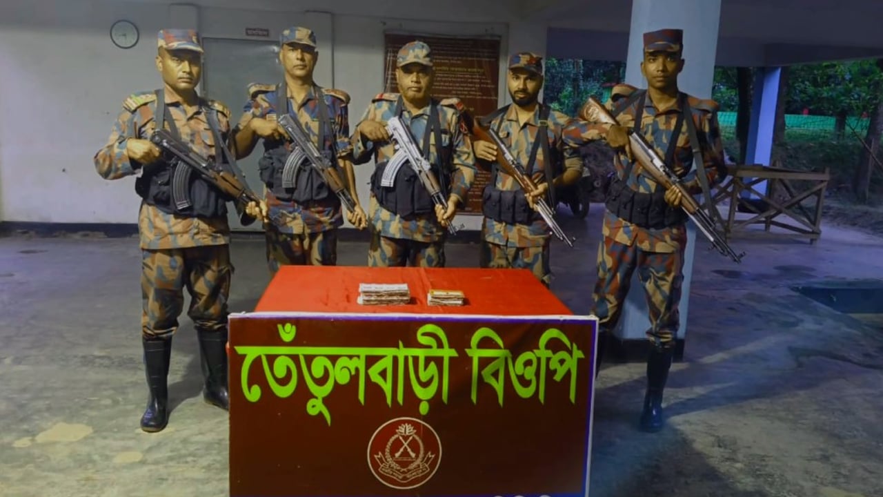 মেহেরপুর সীমান্তে অভিযান, ভারতীয় ওষুধ উদ্ধার