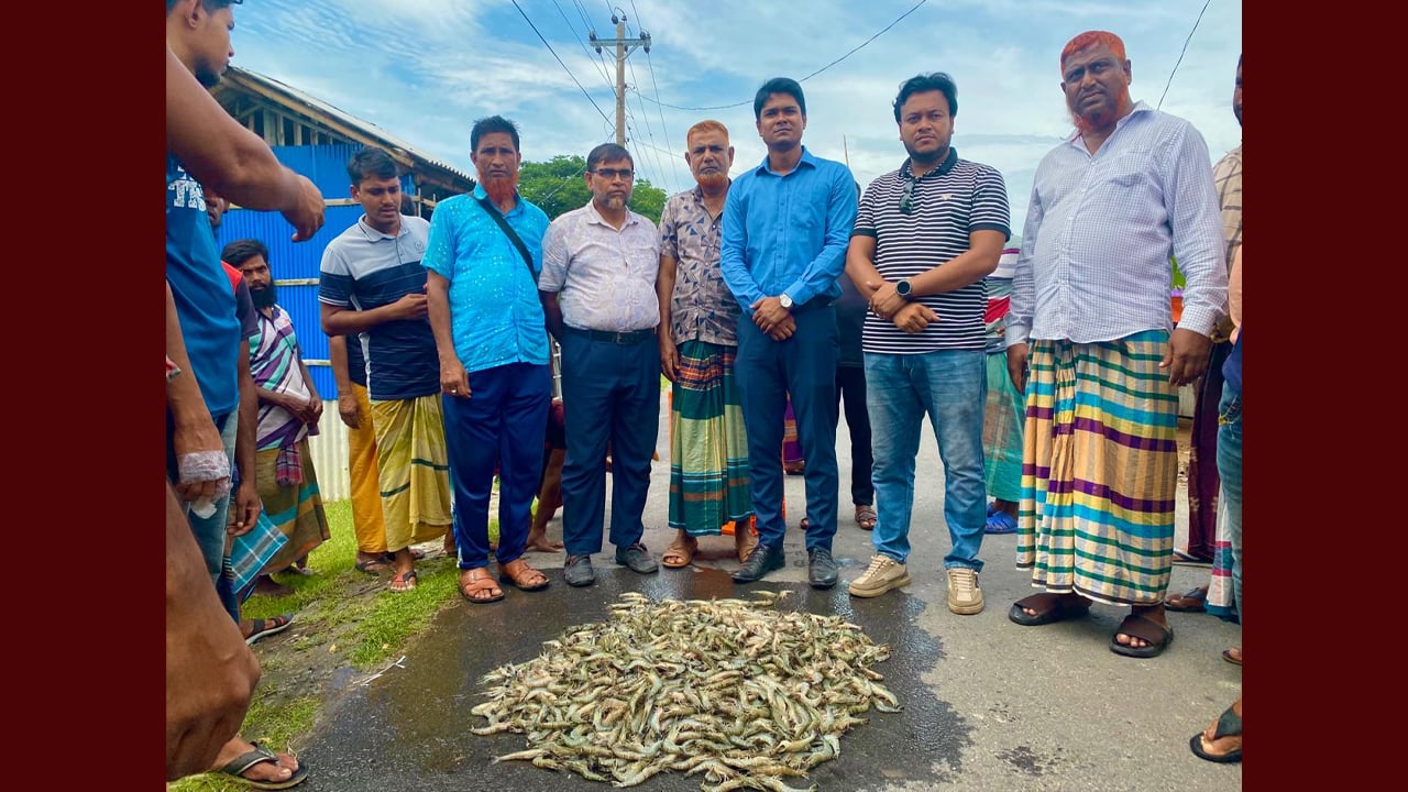 শ্যামনগরে বাগদা চিংড়িতে জেলি ঢুকানোর সময় জরিমানা-আটক