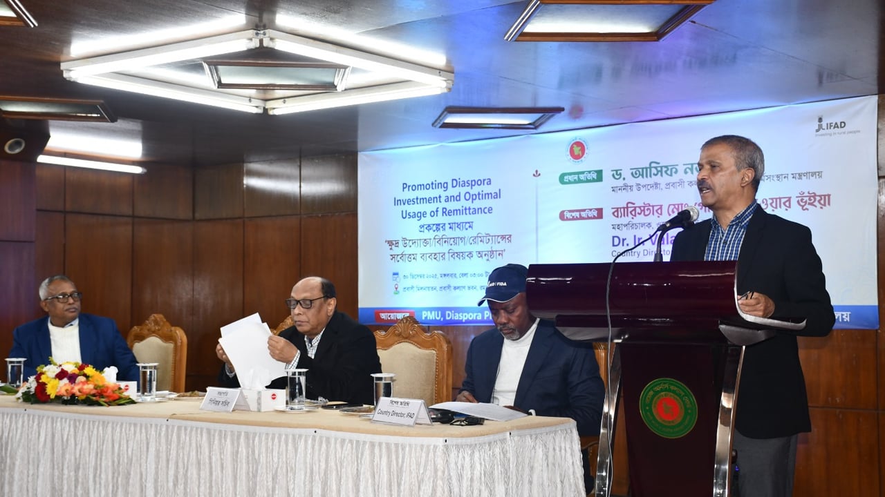 জুলাই গণঅভ্যূত্থানের বিজয় অর্জনে প্রবাসীদের ত্যাগ অতুলনীয়: আসিফ নজরুল