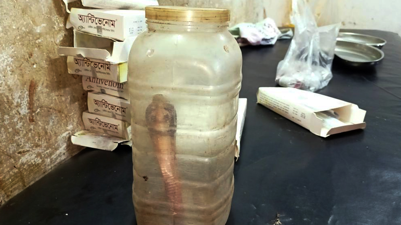ছোবল দেয়া সাপ নিয়েই হাসপাতালে আক্রান্ত বৃদ্ধা