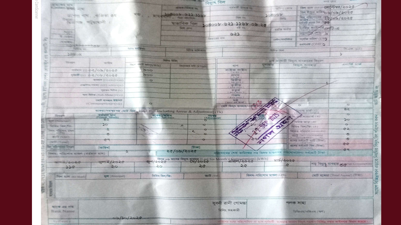 মিটার না দেখেই বিল, হয়রানির শিকার গ্রাহক
