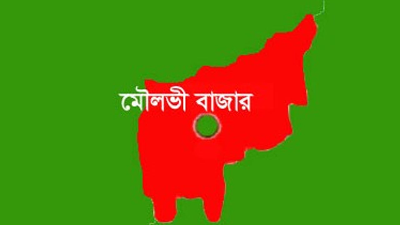 মৌলভীবাজারে প্রতিপক্ষের হামলায় নিজ বাড়িতে ২ ভাই খুন