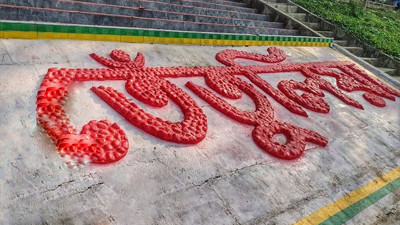 তেঁতুলিয়ায় সীমান্ত দিয়ে ভারতে যাওয়ার চেষ্টায় আটক ১১ নারী