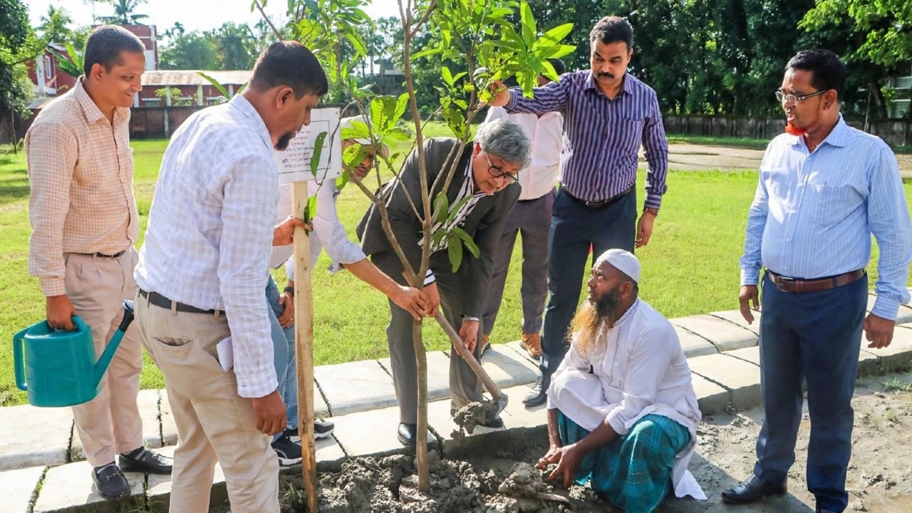 ৫০ বছর পূর্তিতে এক কোটি গাছ লাগাবে গ্রামীণ ব্যাংক