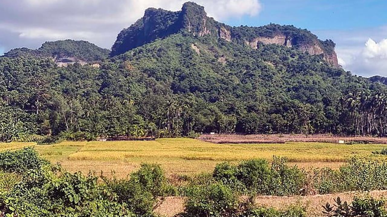 চায়ের দোকান থেকে অস্ত্রের মুখে ৬ কিশোর অপহরণ