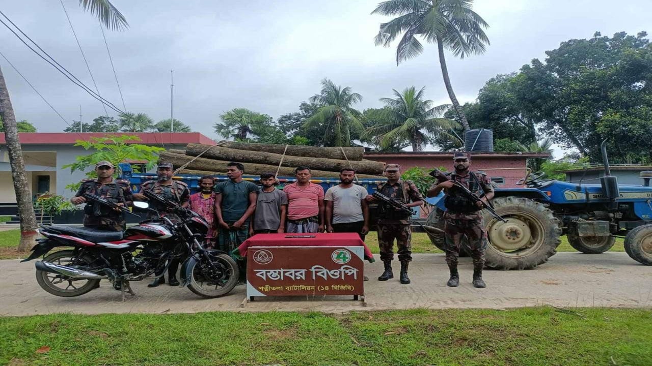 ধামইরহাটে বন বিভাগের গাছসহ আটক ৫