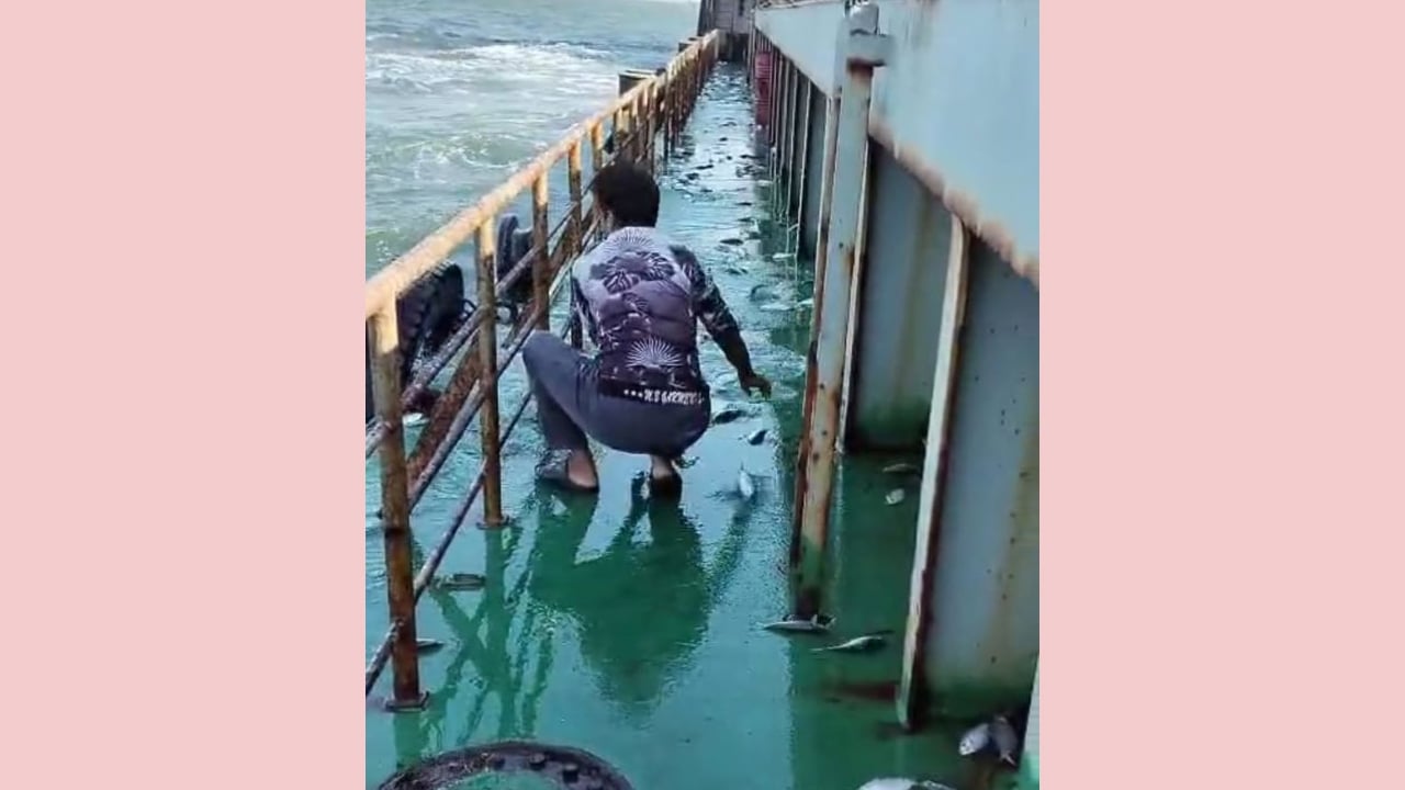 সমুদ্র থেকে লাফিয়ে জাহাজের উঠলো তিন মণ ইলিশ