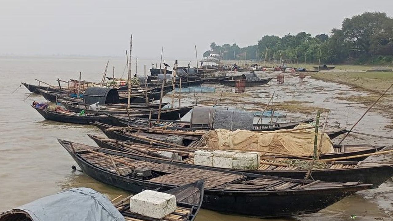 ইলিশ ধরায় ২২ দিনের নিষেধাজ্ঞা, রাজশাহীতে কর্মহীন ২১ হাজার জেলে