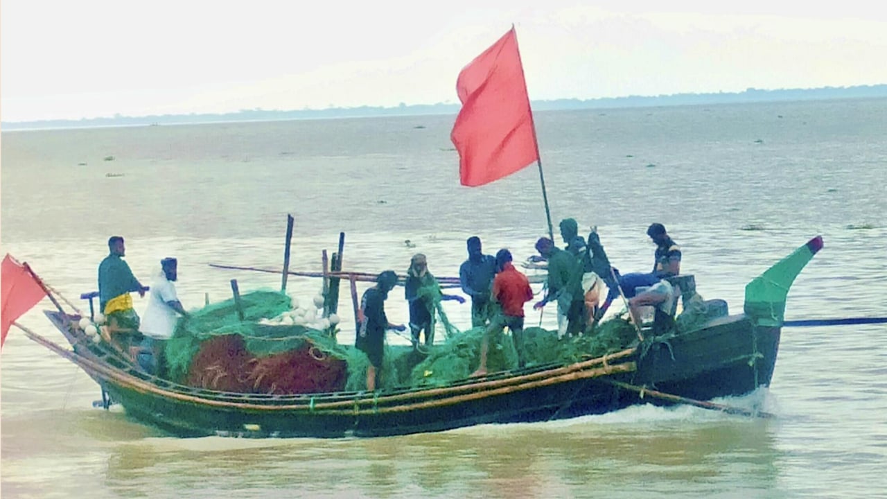 ইলিশ রক্ষায় হাইমচরে ২২ দিনের নিষেধাজ্ঞা শুরু