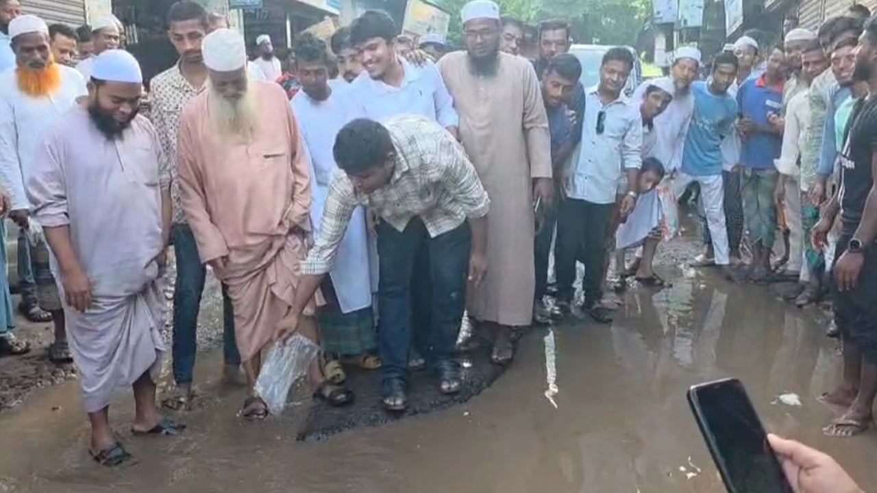 সড়কের গর্তে মাছের পোনা ছেড়ে অভিনব প্রতিবাদ হাসনাতের