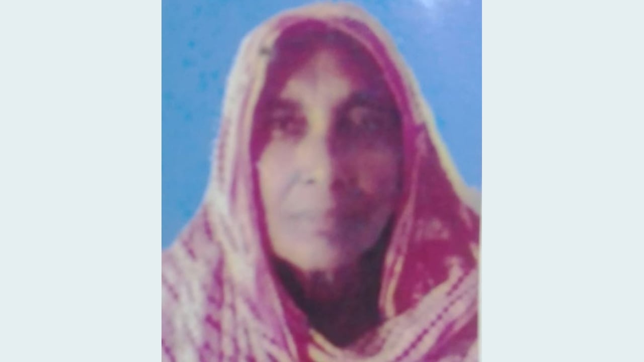 ঈশ্বরদীতে ছেলেকে বাঁচাতে গিয়ে মারা গেলেন মা