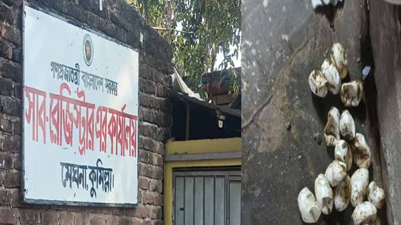 মেঘনা সাবরেজিস্ট্রার অফিসে আবার সাপ আতঙ্ক