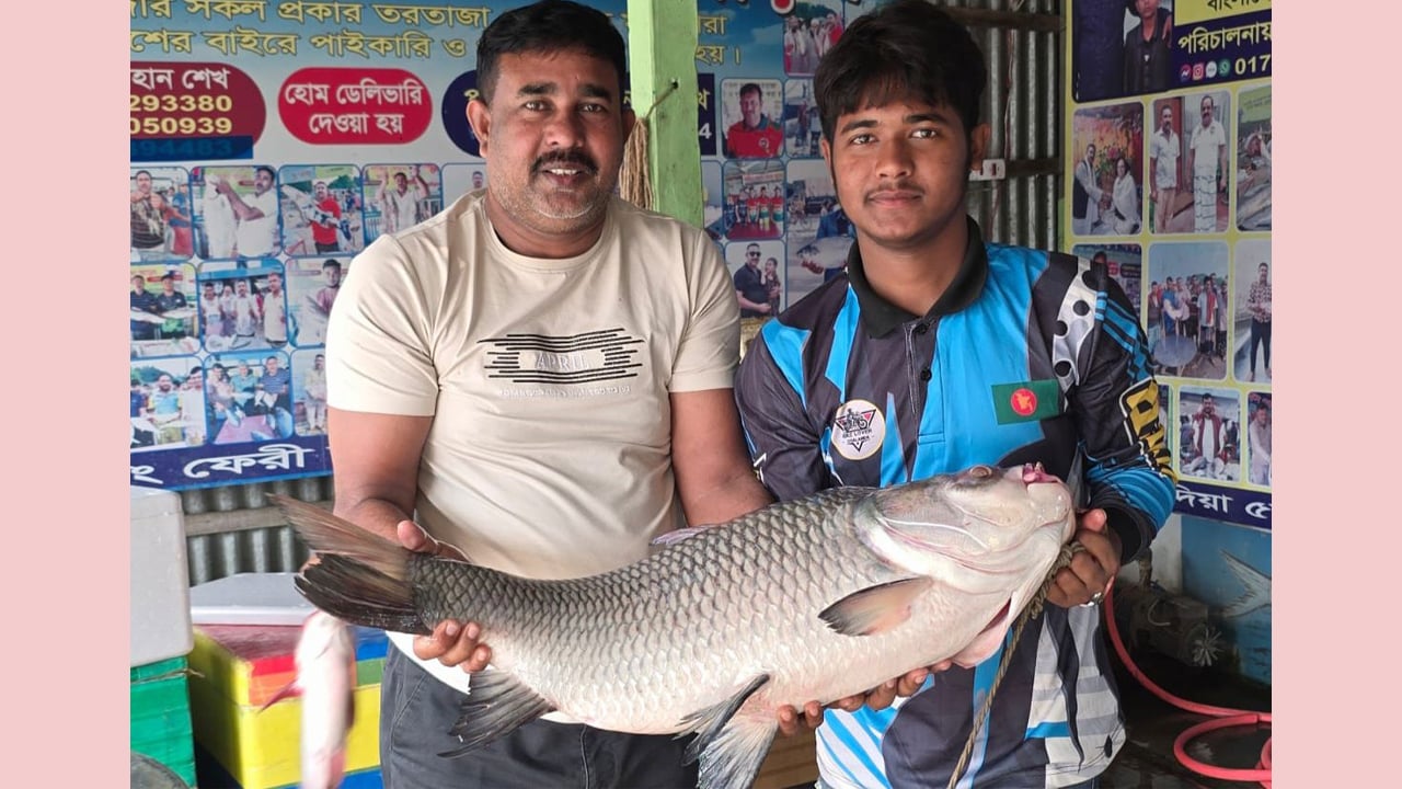 পদ্মার ১৮ কেজির কাতল ৪৩ হাজারে বিক্রি