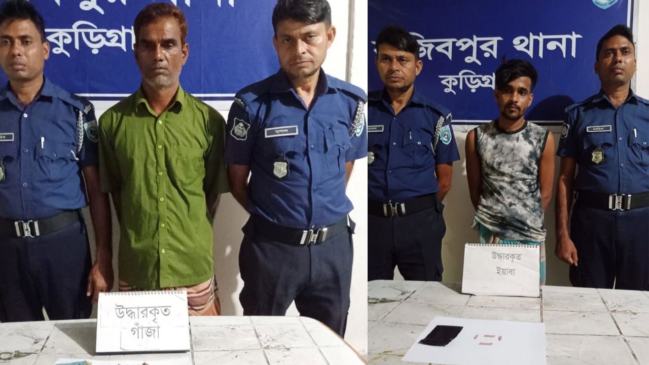 রাজিবপুরে গাঁজা-ইয়াবাসহ দুই মাদক কারবারি আটক