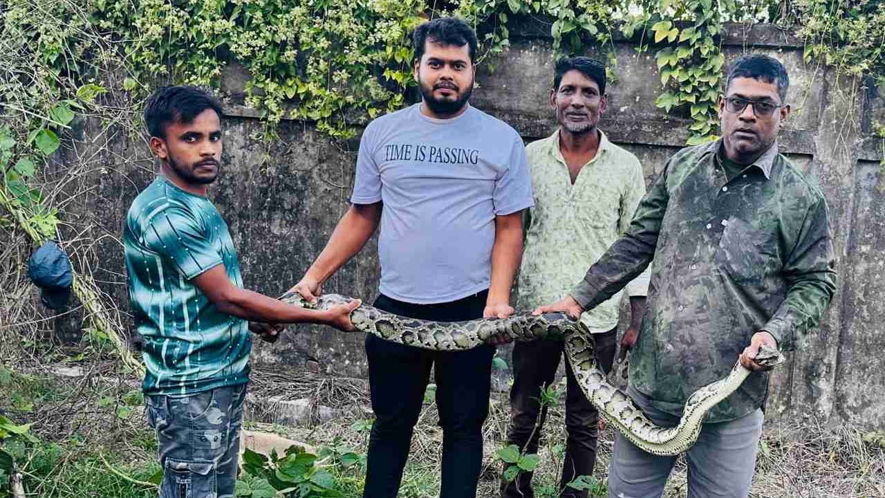 এক সপ্তাহে চার অজগর উদ্ধার, নোয়াগাঁও-ইছবপুর গ্রামে আতঙ্ক