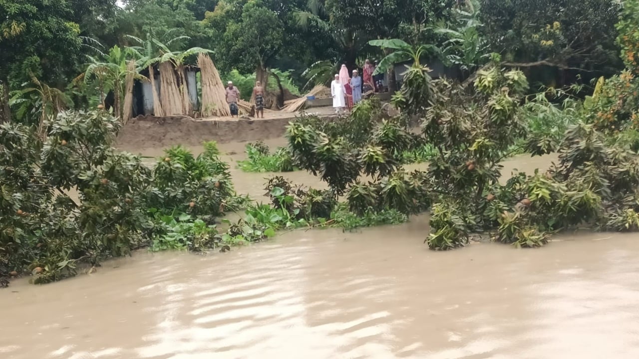আড়িয়ালখাঁ নদের ভাঙনে দিশেহারা দুই শতাধিক পরিবার