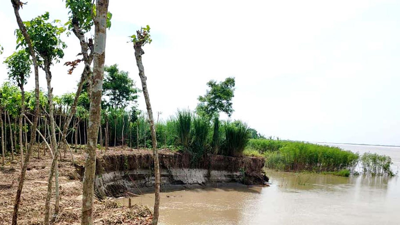 পদ্মার ভাঙনে শ্মশানঘাট পানের বরজ বিলীন, হুমকিতে বেড়িবাঁধ
