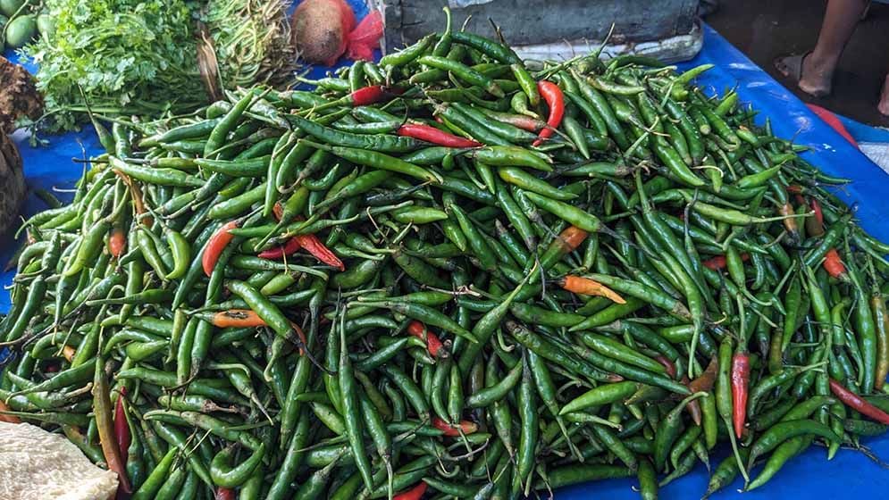 কাঁচামরিচ নিয়ে কারসাজি, ৪৪০ টাকা কেজি