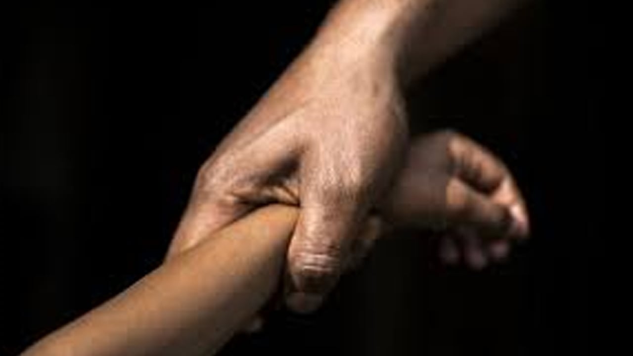 স্কুল পড়ুয়া কিশোরকে যৌন নির্যাতনের অভিযোগে বিশ্ববিদ্যালয় শিক্ষক গ্রেপ্তার