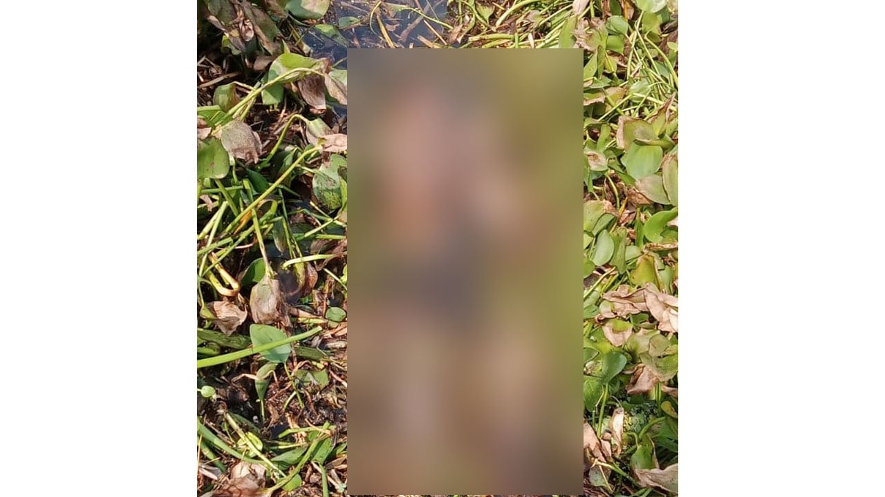 মহেশপুর সীমান্তে যুবকের লাশ উদ্ধার