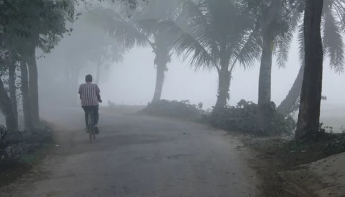 তাপমাত্রা কমেছে তিন ডিগ্রি, বাড়ছে শীতের দাপট
