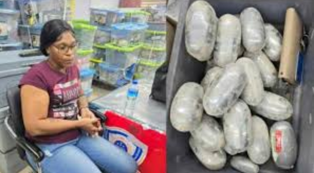 কোকেনসহ গ্রেপ্তার বিদেশিনী ৫ দিনের রিমান্ডে