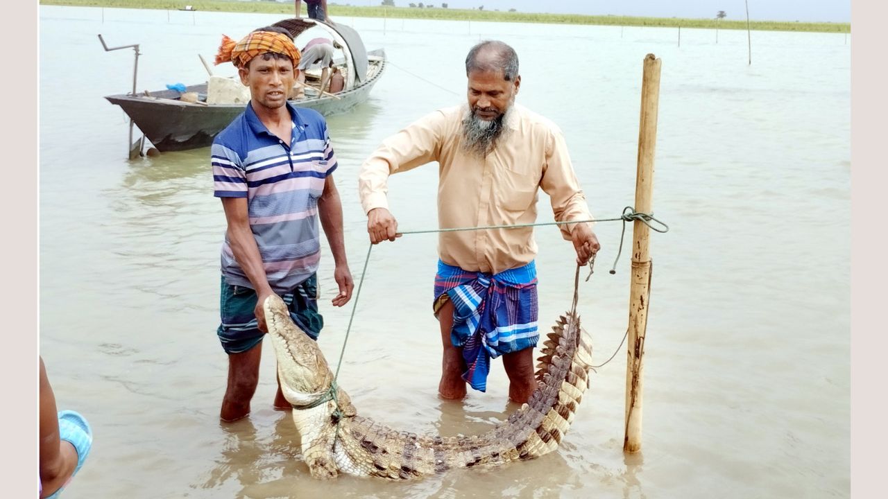 amardesh