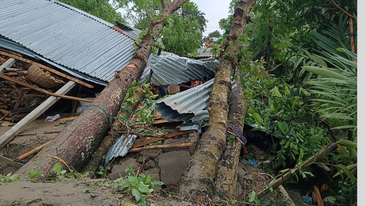 মেলান্দহে কালবৈশাখীতে মা-মেয়েসহ তিনজনের মৃত্যু