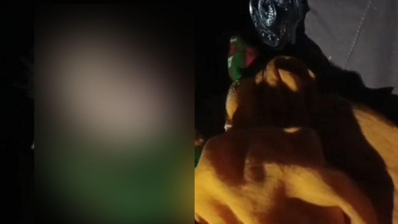 ভালুকায় কার্টনে মিলল নবজাতকের লাশ