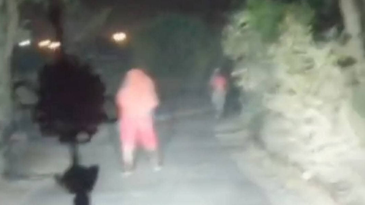 ভেড়ামারায় প্রাইভেটকার থামিয়ে ডাকাতি