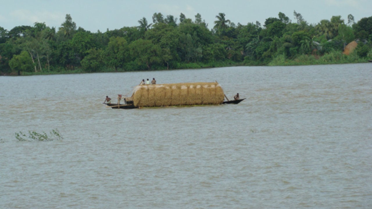 ভাইকে বাঁচাতে গিয়ে ডুবল বোনও, ধর্মপাশায় ভাইবোনের মৃত্যু 