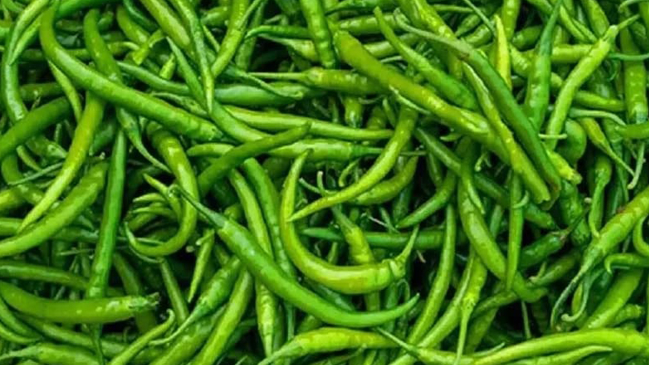 কাঁচা মরিচে ভোক্তার পকেট কাটছে কারসাজি চক্র