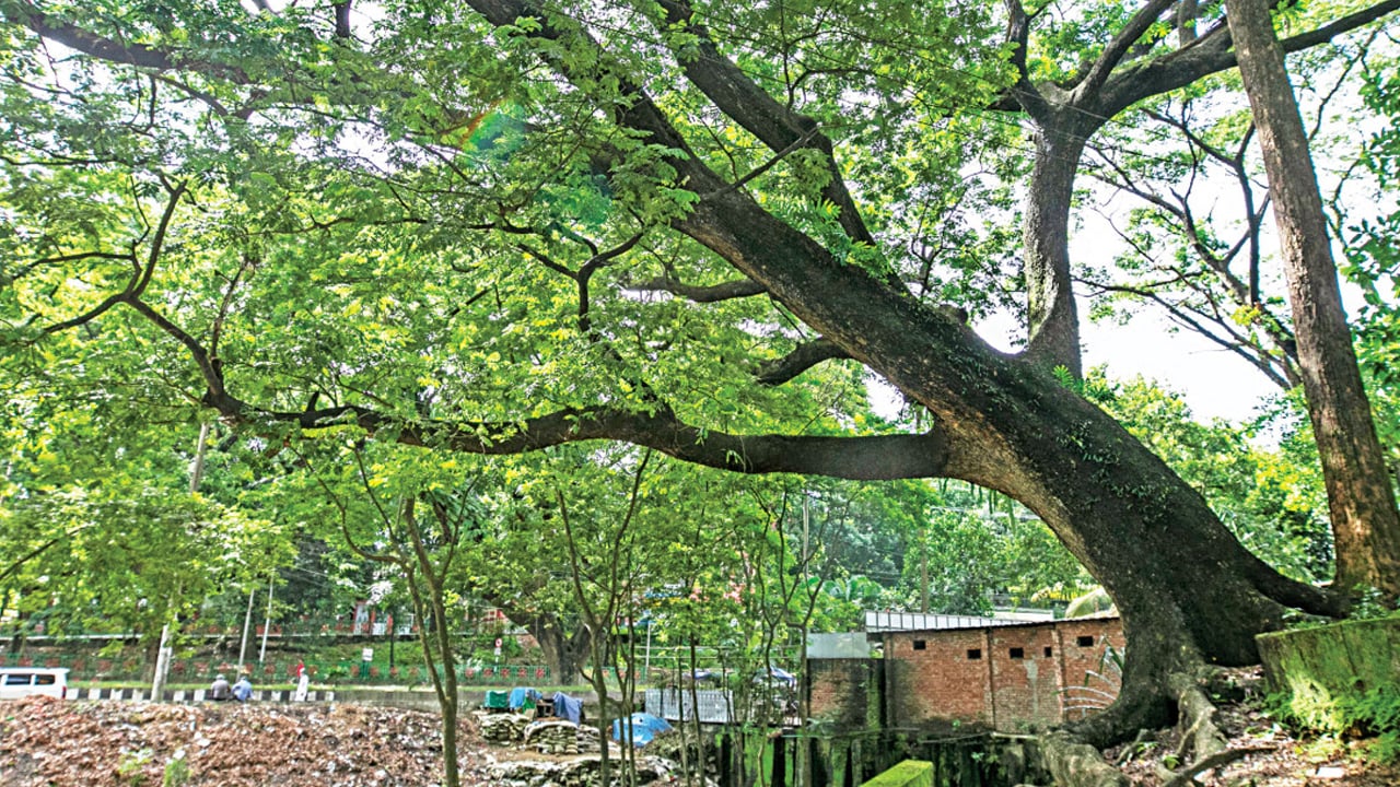 সিআরবিতে আবারো হাসপাতালের উদ্যোগ, পরিদর্শনে আসছেন রেলমন্ত্রী