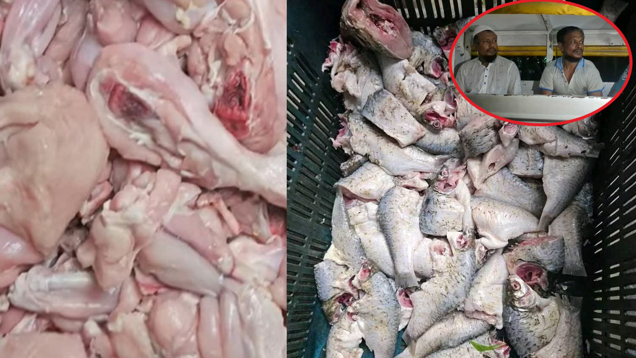 ঢাকা কলেজের ছাত্রাবাসে মরা মুরগি ও পচা মাছ জব্দ, আটক ২
