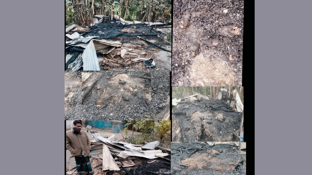 নিষিদ্ধ ছাত্রলীগের মিছিলে বাধা দেওয়ায় মুরগির খামারে আগুন