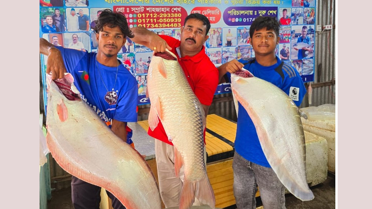 পদ্মার এক রুই-দুই চিতল বিক্রি হলো ৮৯ হাজার টাকায়