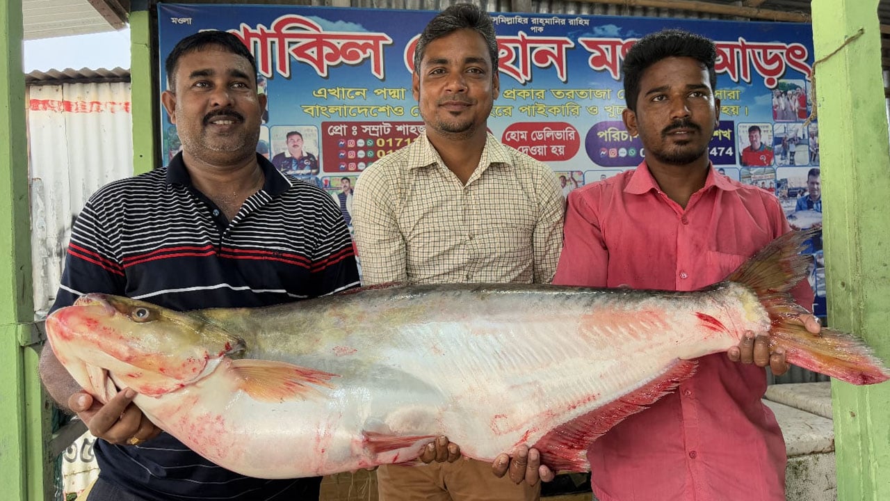 পদ্মার এক ঢাই ৪৬ হাজার টাকায় বিক্রি
