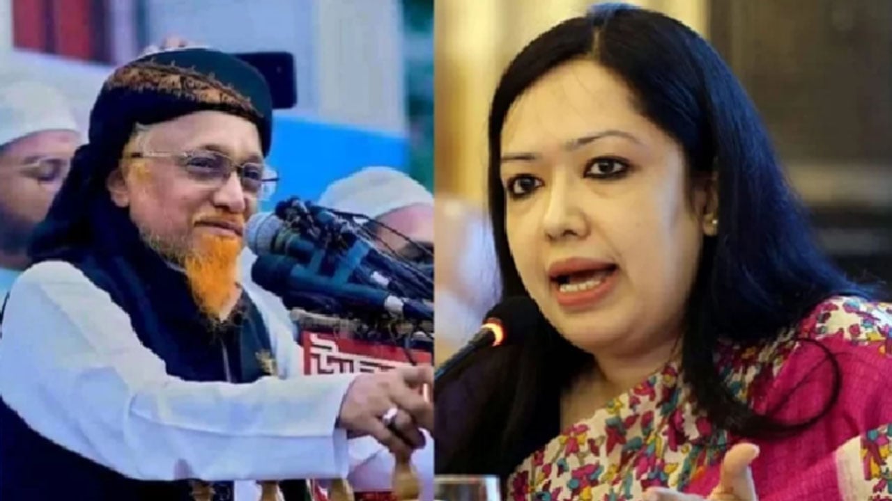 মনোনয়নপত্র সংগ্রহ, ‘বিদ্রোহী’ প্রার্থী হলেন আলোচিত রুমিন ফারহানা